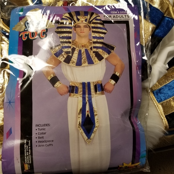 Other - Man King Tut Halloween costume